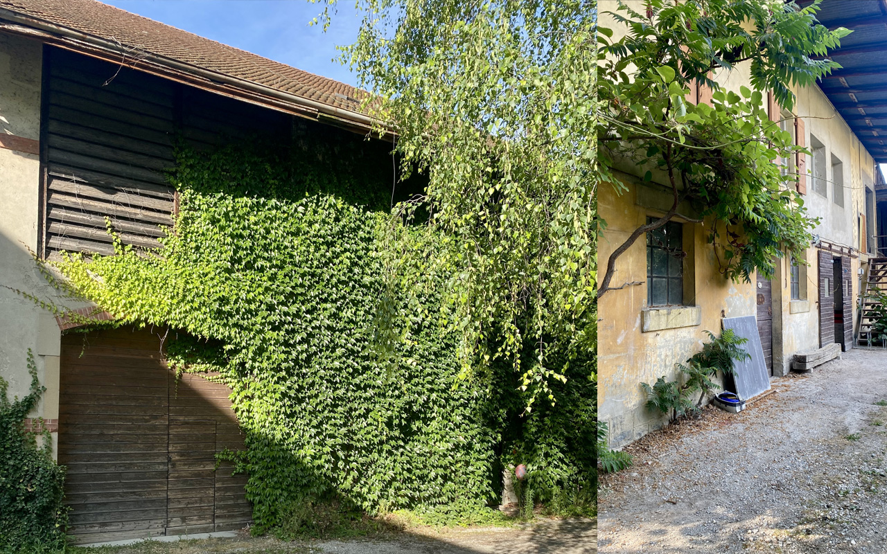 2-Grange-Yersin